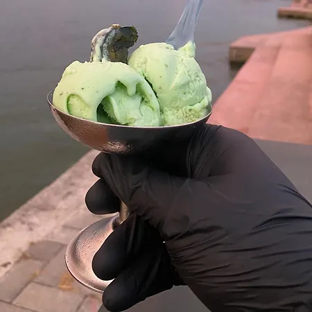 Pogradeci Apartment *