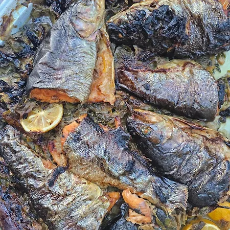 Pogradeci Apartment Pogradec